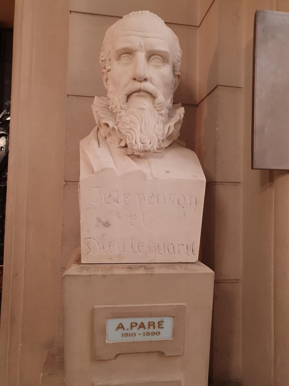 Ambroise Paré's bust, Académie Nationale de Médecine, Paris (by Magdalena Mazurak).jpg